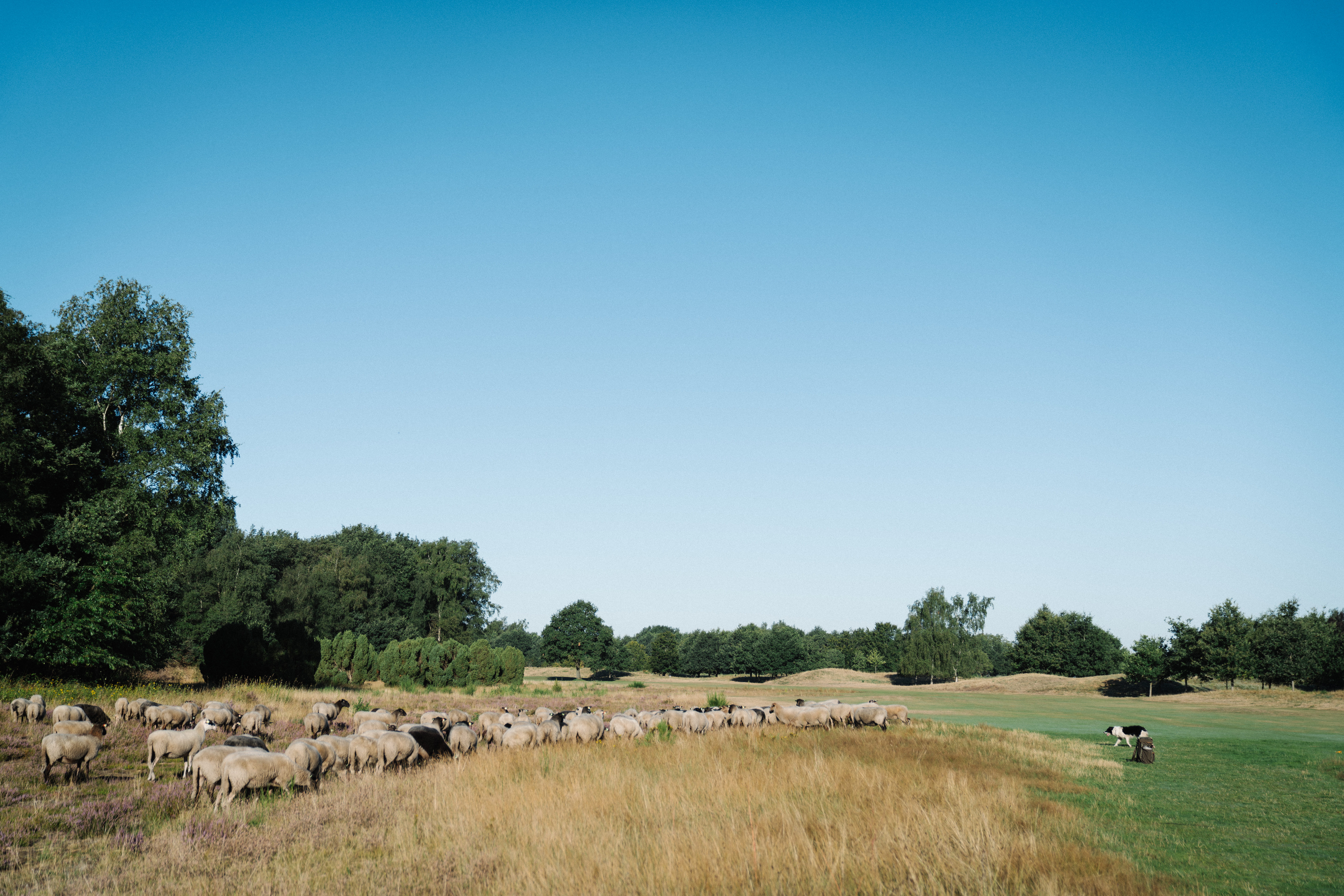 Beeld: KLCK & Approach