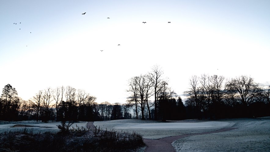 Golfclub De Haar - green