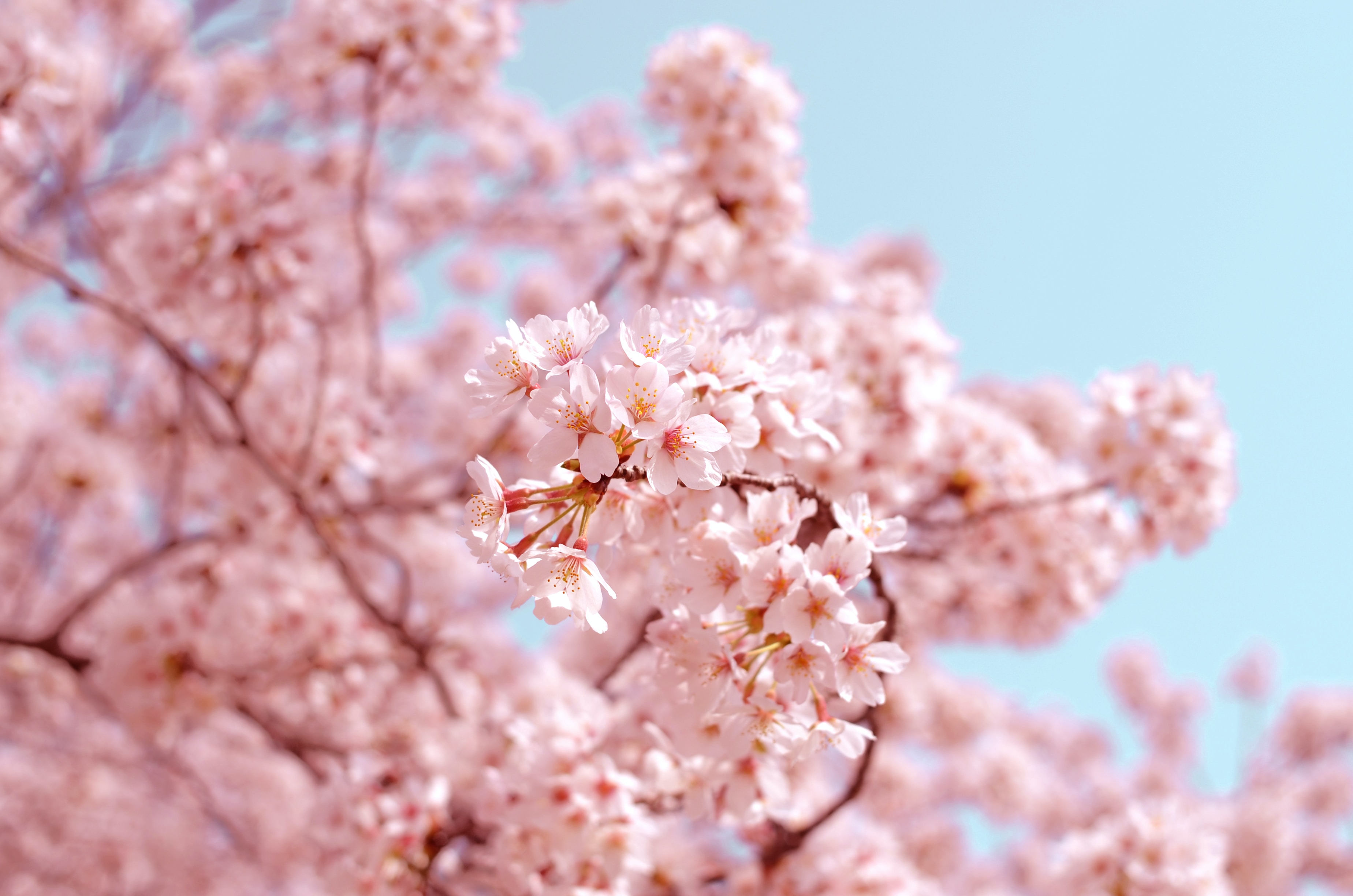 Beeld: Unsplash - AJ