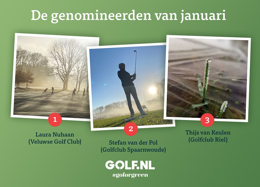 Genomineerden Goforgreen fotoactie - januari 22