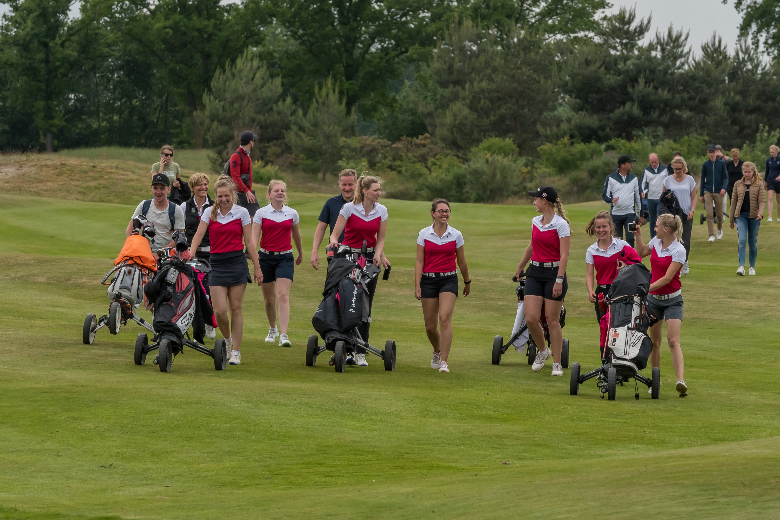 De NGF Competitie is razend populair.