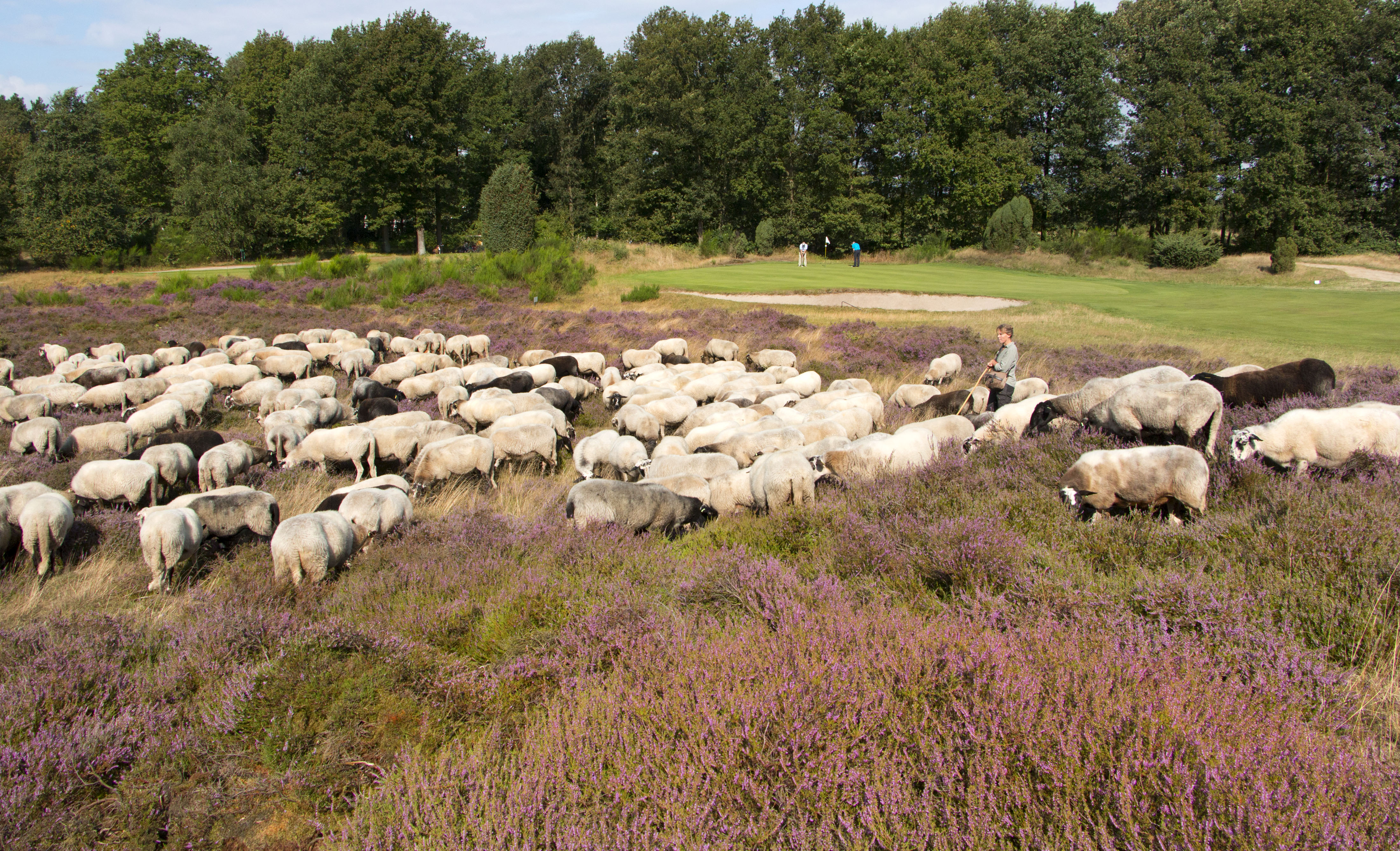 De Gelpenberg