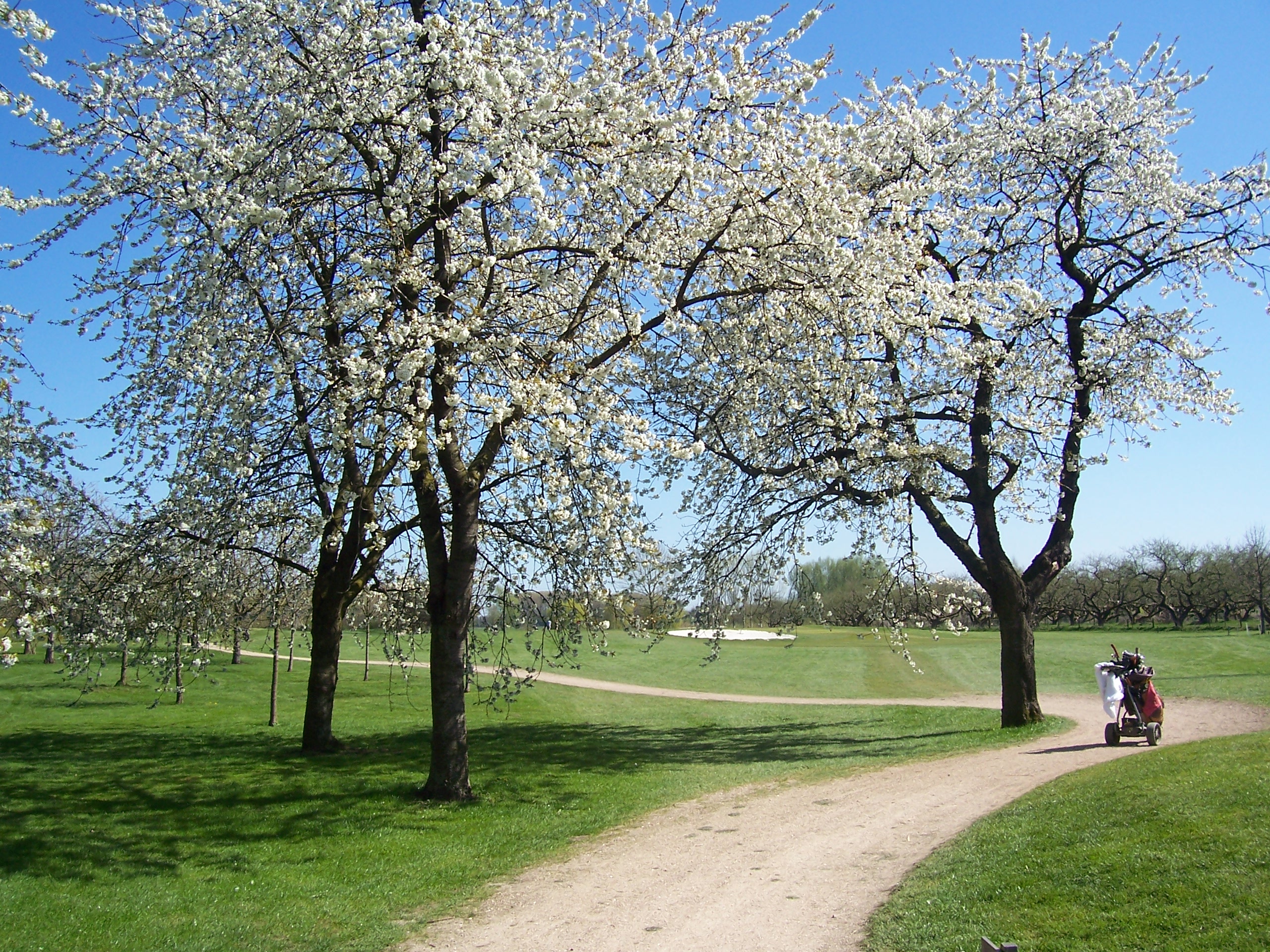 Welderen