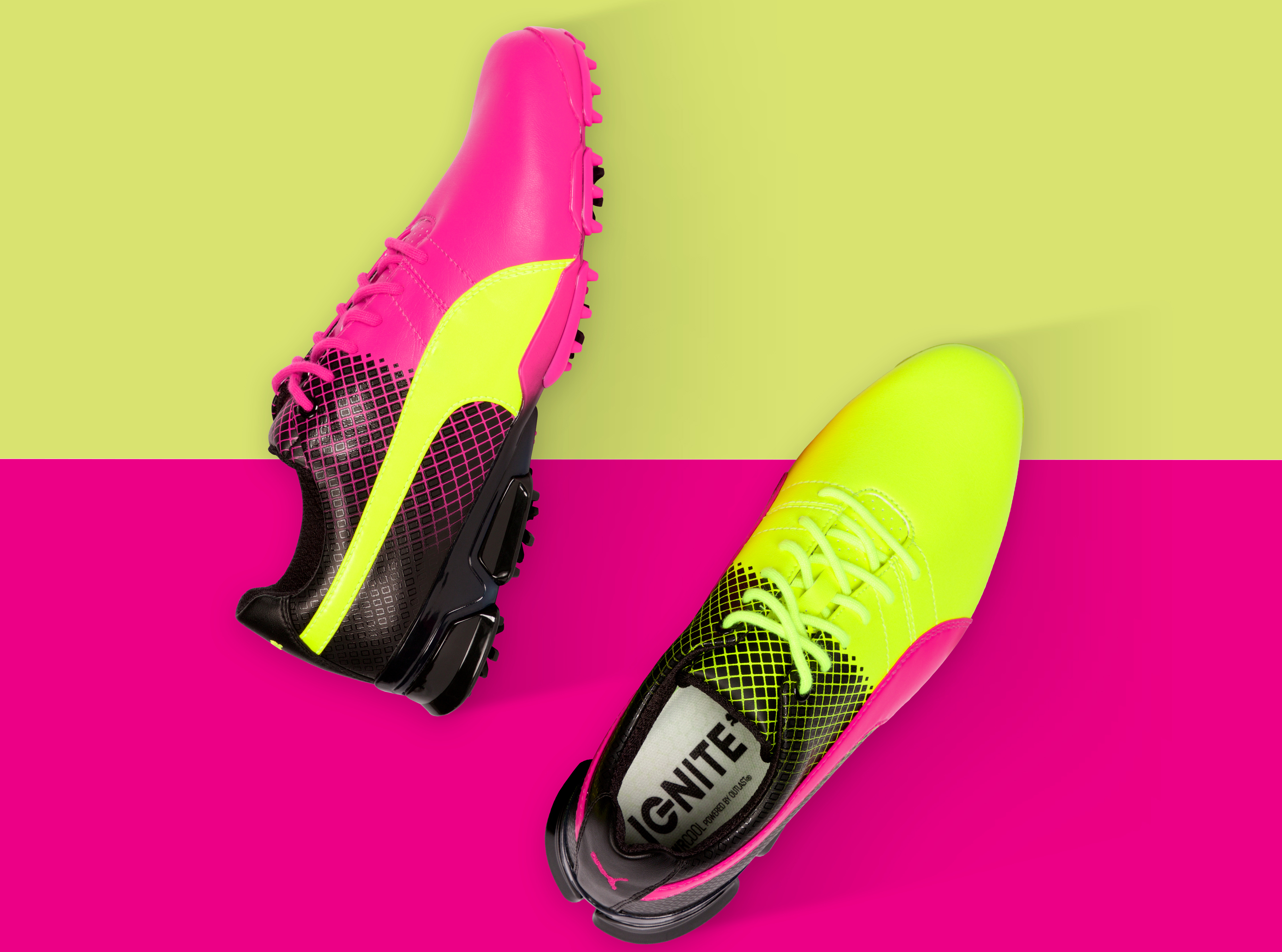 puma