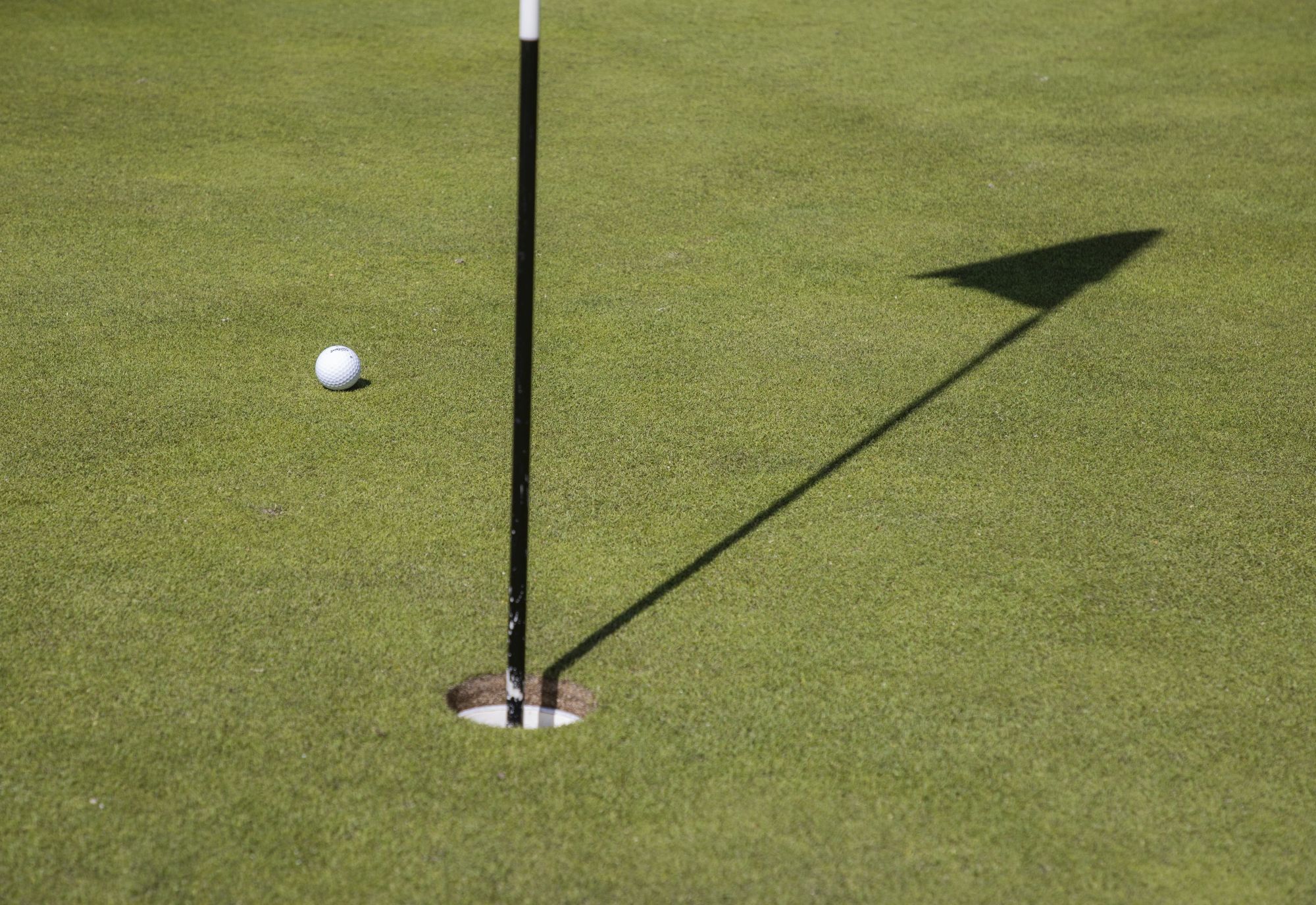 de golfregels bal op de green